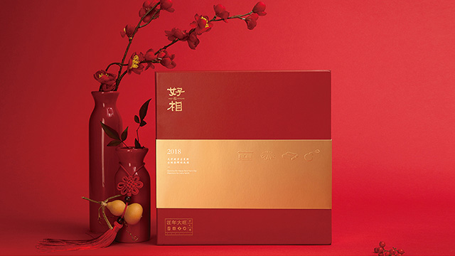 上海助騰傳播-品牌VI設(shè)計案例