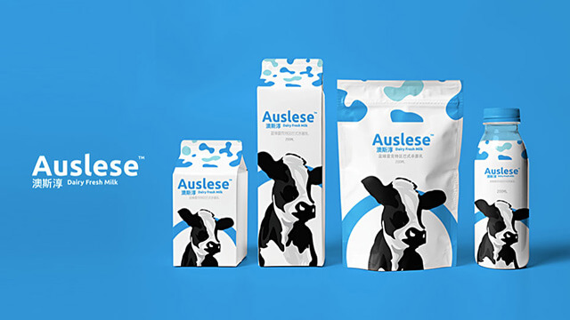 上海助騰傳播-品牌VI設(shè)計(jì)案例