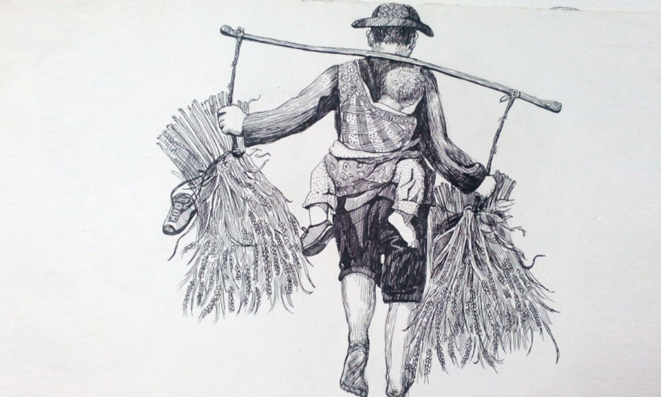 源味-大米包裝設(shè)計(jì)