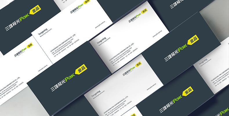 三雄極光-上市品牌命名，VI設(shè)計(jì)，LOGO設(shè)計(jì)